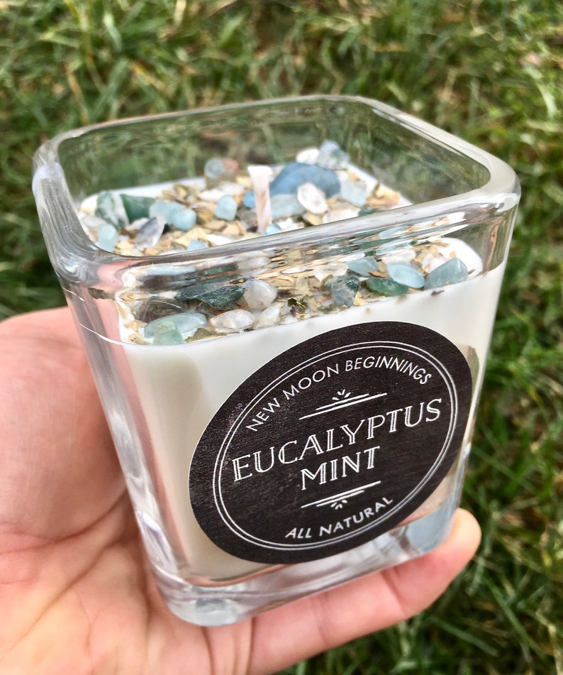 Eucalyptus Mint Candles Crystal & Herb Candles Energy Etsy