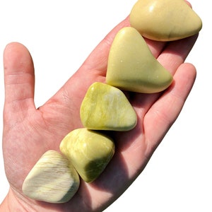Serpentine Tumbled Stone - Multiple Sizes Available - New Jade Stone - Tumbled Serpentine Crystal - Polished Natural Serpentine Gemstone
