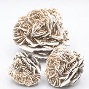 Raw Desert Rose Selenite - Selenite Rose Cluster - Natural Selenite Crystal - Crystals & Stones - Rough Gypsum Desert Rose Cluster image 7