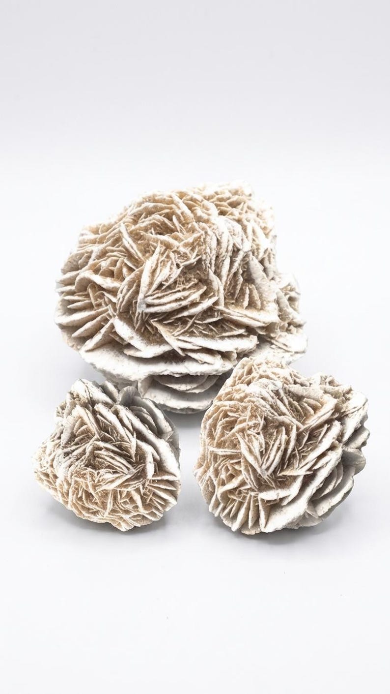 Raw Desert Rose Selenite - Selenite Rose Cluster - Natural Selenite Crystal - Crystals & Stones - Rough Gypsum Desert Rose Cluster image 7