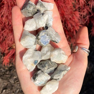 Raw Rainbow Moonstone Crystal (.5&quot; - 3.5&quot;) Rainbow Moonstone Chunk - Rough Moonstone Gemstone - Crystals & Stones - Raw Moonstone