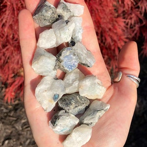 Raw Rainbow Moonstone Crystal .5 3.5 Rainbow Moonstone Chunk Rough Moonstone Gemstone Healing Crystals & Stones Raw Moonstone image 1