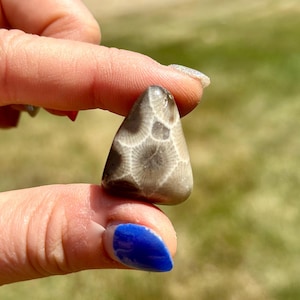 Petoskey Stone Tumbled Crystal - Grade AA Tumbled Petoskey Stone - Petoskey Stone from Michigan - Polished Petoskey Stone - Michigan Crystal