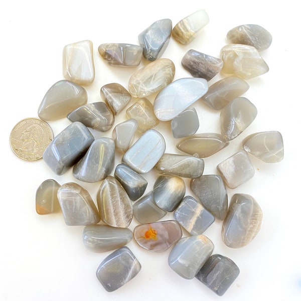 Silver Moonstone Tumbled Stone - Black Moonstone - Polished Gray Moonstone - Multiple Sizes Available - Tumbled Silver Moonstone Crystal