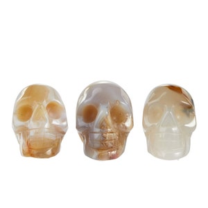 Agate Stone Skull - Agate Skull - Quartz Crystal - Crystal Skull - Skull Decor - Brown Skull - Hand Carved Skull - Polished Agate Crystal