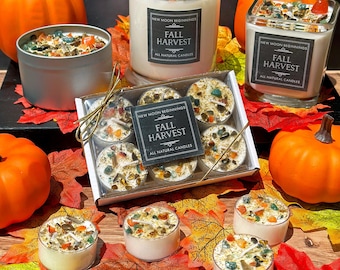Fall Harvest Candle - Fall Candles - Autumn Equinox Candle - Mabon Crystal Candle - Mabon Ritual Candle - Soy Autumn Candle Gift - Handmade!