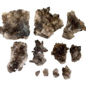 Raw Smoky Quartz Cluster (.25&quot; - 5.5&quot;) A-Grade Smoky Quartz Crystal Cluster - Rough Smokey Quartz Cluster Crystal - Brazilian Smoky Quartz