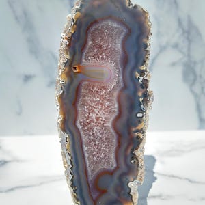 May include: A cross-section of an agate stone, displaying a range of colours. The centre has a pinkish tone, with bands of brown, grey, and blue radiating outwards. The natural stone is presented on a black stand, highlighting its intricate, natural patterns.