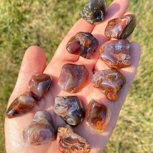 Mexican Fire Agate Stone (0.5&quot; - 1.75&quot;) Fire Agate Crystal Polished - Tumbled Mexican Fire Agate - Tumbled Crystals & Stones