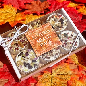 Mixed 6 Pack of Fall & Halloween Tealight Candles - Fall Candle Sampler Pack - Fall Candle Set - Scented Soy Candles for Autumn - Handmade!