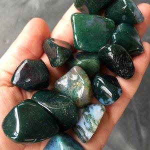 Moss Agate Tumbled Stone - Multiple Sizes Available - Tumbled Moss Agate Crystal - Polished Moss Agate - Mocha Stone - Green Healing Crystal