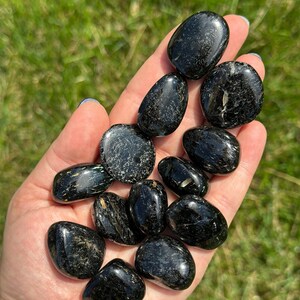 May include: A handful of polished black tourmaline stones. The stones are smooth, oval-shaped, and vary in size. Some stones have visible inclusions and a slight sheen. The background is blurred green grass.