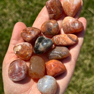 May include: A hand holding a collection of polished gemstones. The stones vary in shape and size, with colors ranging from deep reds and oranges to lighter tans and whites. Some stones have intricate patterns and veining.