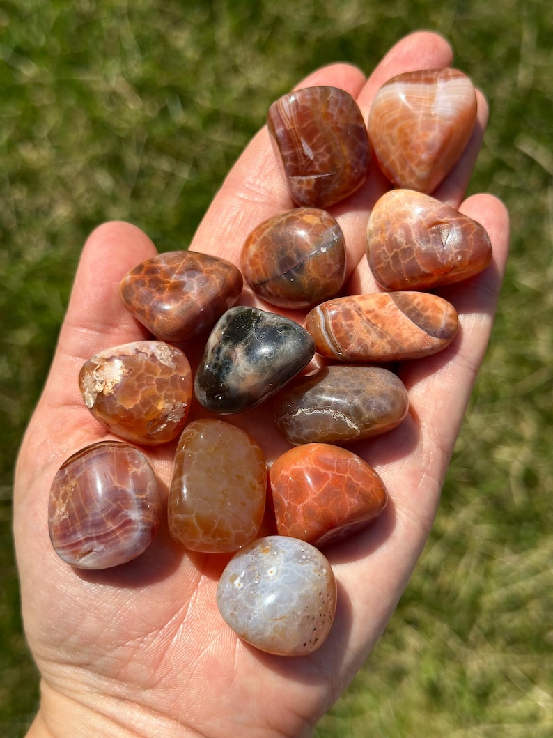 May include: A hand holding a collection of polished gemstones. The stones vary in shape and size, with colors ranging from deep reds and oranges to lighter tans and whites. Some stones have intricate patterns and veining.