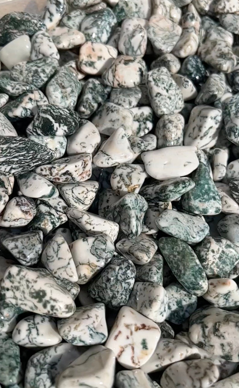 Tree Agate Tumbled Stone - Multiple Sizes Available - Tumbled Tree Agate Crystal - Polished Tree Agate Gemstone - Green Crystal image 2