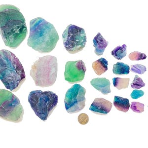 Puede incluir: Una colecci&oacute;n de 25 cristales de fluorita en varios tonos de verde, azul y morado. Los cristales son &aacute;speros y tienen un aspecto natural sin pulir.