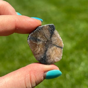 Chiastolite Stone Slab - Imperfect Chiastolite Crystal - Small Chiastolite Slice - Cross Stone Slab - Genuine Chiastolite from Australia