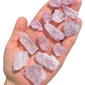 Puede incluir: Una colecci&oacute;n de cristales de color p&uacute;rpura claro de varias formas y tama&ntilde;os, sostenidos en una mano abierta. Los cristales tienen una apariencia transl&uacute;cida y una textura ligeramente rugosa, con estructuras internas visibles. El fondo es blanco liso.