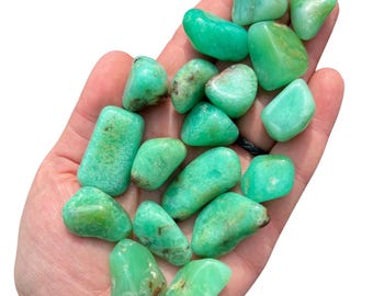 Chrysoprase Tumbled Stone - Grade A - Multiple Sizes Available - Chrysoprase Gemstone from Tanzania - Tumbled Green Chrysoprase Crystal