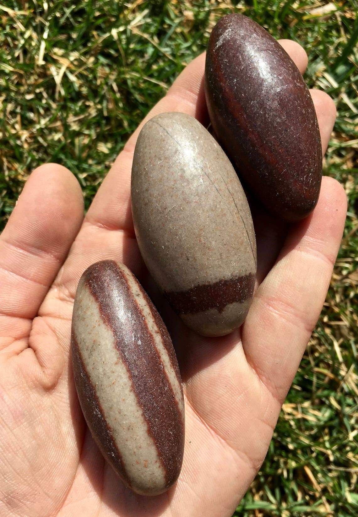 Shiva Lingam Stone 3 inch medium size shiva lingam egg Etsy