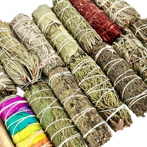 a bunch of different types of sticks of different colors