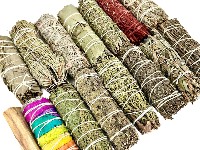 a bunch of different types of sticks of different colors