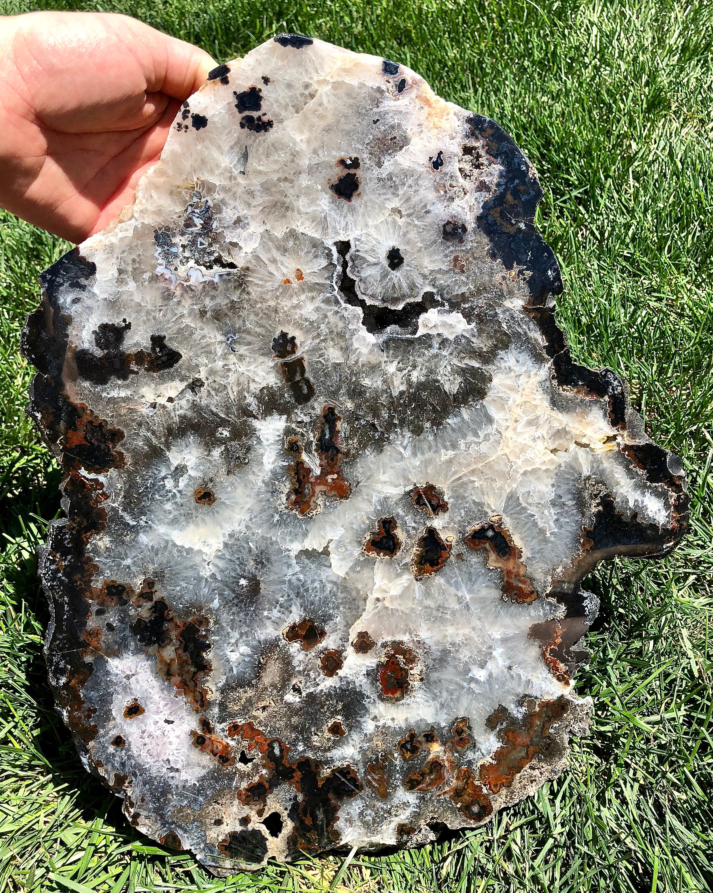 Collectibles Rocks, Fossils & Minerals Agate Geodes Slice/Slab Collection Stones Large Natural Crystals WO4163612 Collectibles Rocks, Fossils & Minerals Agate Geodes Slice/Slab Collection Stones Large Natural Crystals WO4163612