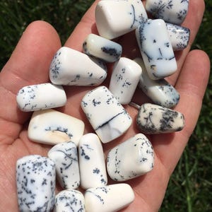 Dendritic Opal Tumbled Stone - Multiple Sizes Available - Polished Dendritic Opal - Merlinite Crystal - Tumbled Natural Dendrite Opal