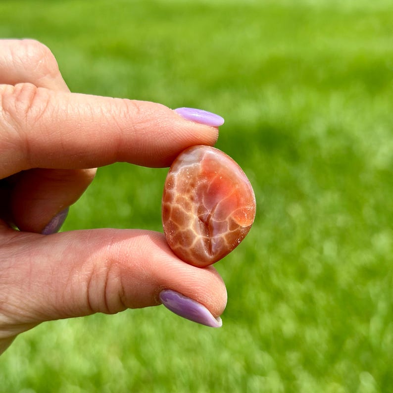 May include: A polished, oval-shaped gemstone with a warm color palette. The stone features a blend of orange, red, and brown hues, with a unique, web-like pattern across its surface. The gemstone is held between fingers against a blurred green background.