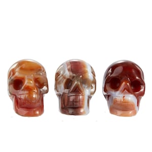 Carnelian Stone Skull - Carnelian Skull Decor - Polished Crystal Skull - Hand Carved Small Skull Sculpture - Carved Carnelian Crystal Skull