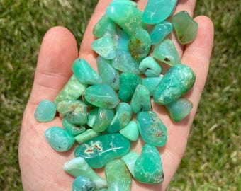 Chrysoprase Tumble Stone - Grade AA Chrysoprase - Multiple Sizes Available - Tumbled Chrysoprase Crystal - Polished Chrysoprase Gemstone