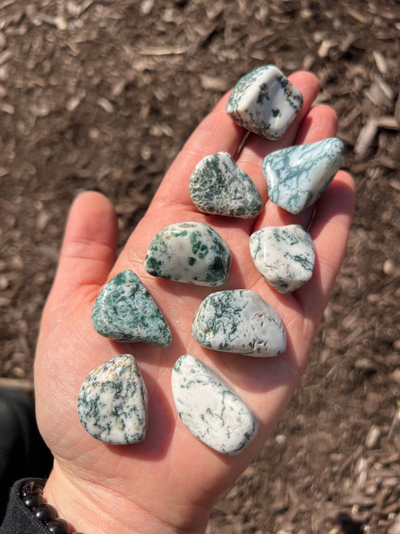 Tree Agate Tumbled Stone - Multiple Sizes Available - Tumbled Tree Agate Crystal - Polished Tree Agate Gemstone - Green Crystal image 5