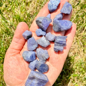 May include: A collection of raw, blue kyanite crystals in various shapes and sizes. The crystals are rough and have a natural, unpolished appearance.