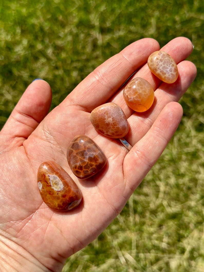May include: Five polished, oval-shaped gemstones in shades of orange and brown are displayed in an open hand. The stones have unique patterns and textures, with some showing a web-like design. The background is a blurred green lawn.