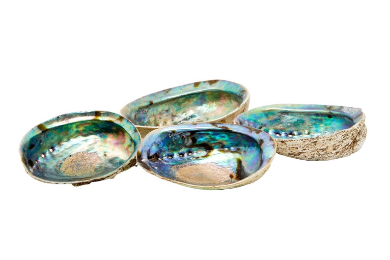 Abalone Shell 56 Large Abalone Shell Rainbow Abalone Shell Natural Abalone Shell Bowl Crystal Holder Cleansing Stick Holder image 5