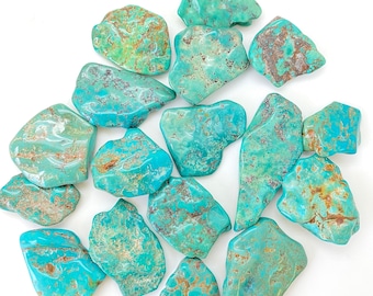 Può includere: Una collezione di 14 pietre turchesi, ognuna con una forma e un motivo unici. Le pietre sono di un colore blu-verde vibrante con segni marroni e bianchi.