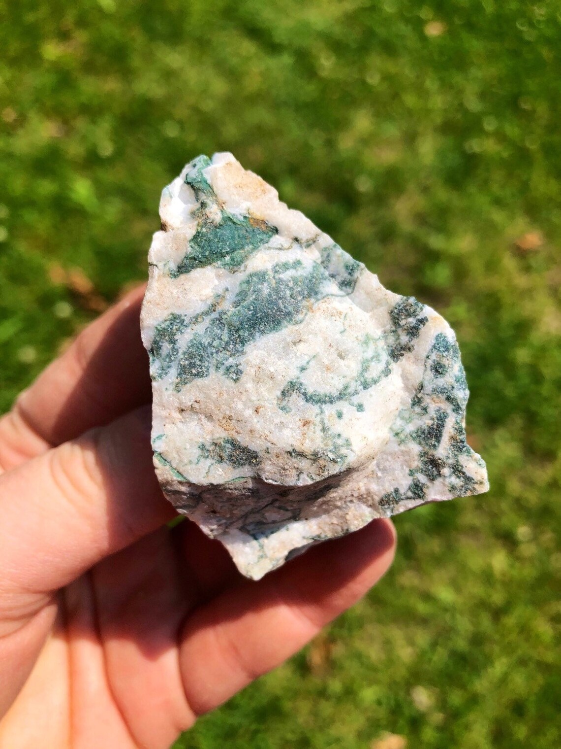 Raw Tree Agate Stone Raw Stones Raw Tree Agate Crystal Etsy