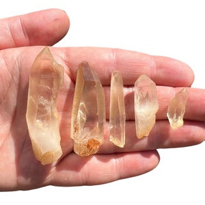 Golden Lemurian Quartz Crystal Point Mini (0" - 2.5") Golden Lemurian Crystal - Golden Healer Lemurian Point - Natural Lemurian Quartz