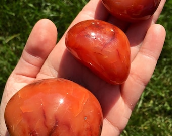 Carnelian Palm Stone (1" - 2.75") Carnelian Tumbled Stone - Carnelian Crystal - Polished Carnelian Worry Stone - Sacral Chakra Stone