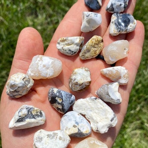 May include: A collection of 14 smooth, white, gray, and brown agate stones. The stones are various shapes and sizes, and have a natural, polished look.