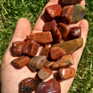 Petrified Wood Tumbled Stone - Multiple Sizes Available - Tumbled Petrified Wood Crystal - Polished Mineral Specimen - Fossilized Wood
