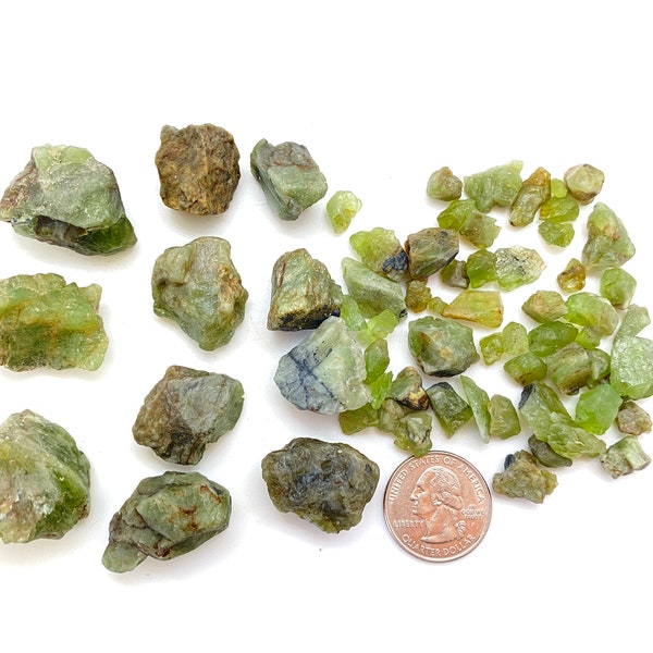 Raw Peridot (1 - 55 gram stones) - Rough Peridot Crystal - Peridot Stone - Healing Crystals & Stones - Olivine or Chrysolite - Peridot Chunk