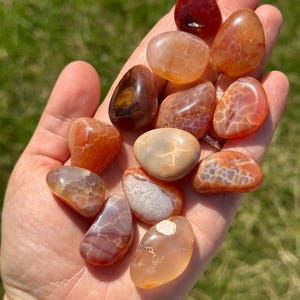 May include: A handful of polished carnelian stones in shades of orange, red, and brown. The stones have a smooth, rounded shape and a translucent quality, with visible patterns and variations in color. The background is blurred green grass.