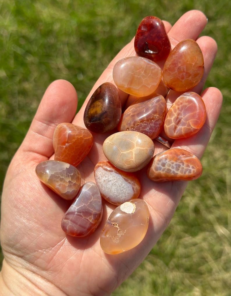 May include: A handful of polished carnelian stones in shades of orange, red, and brown. The stones have a smooth, rounded shape and a translucent quality, with visible patterns and variations in color. The background is blurred green grass.