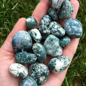 Timbled Tree Tree Agate Tumbled Stone - Multiple Sizes Available - Tumbled Tree ...