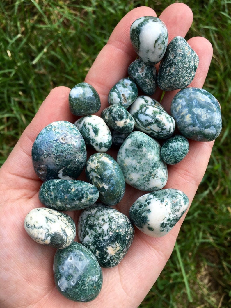 Tree Agate Tumbled Stone - Multiple Sizes Available - Tumbled Tree Agate Crystal - Polished Tree Agate Gemstone - Green Crystal image 4