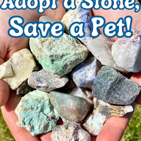 Adopt a Stone, Help a Pet! - Proceeds Benefit Pets in Need - Crystals for a Cause - Each Purchase Helps Animals in Need - Mystery Crystals