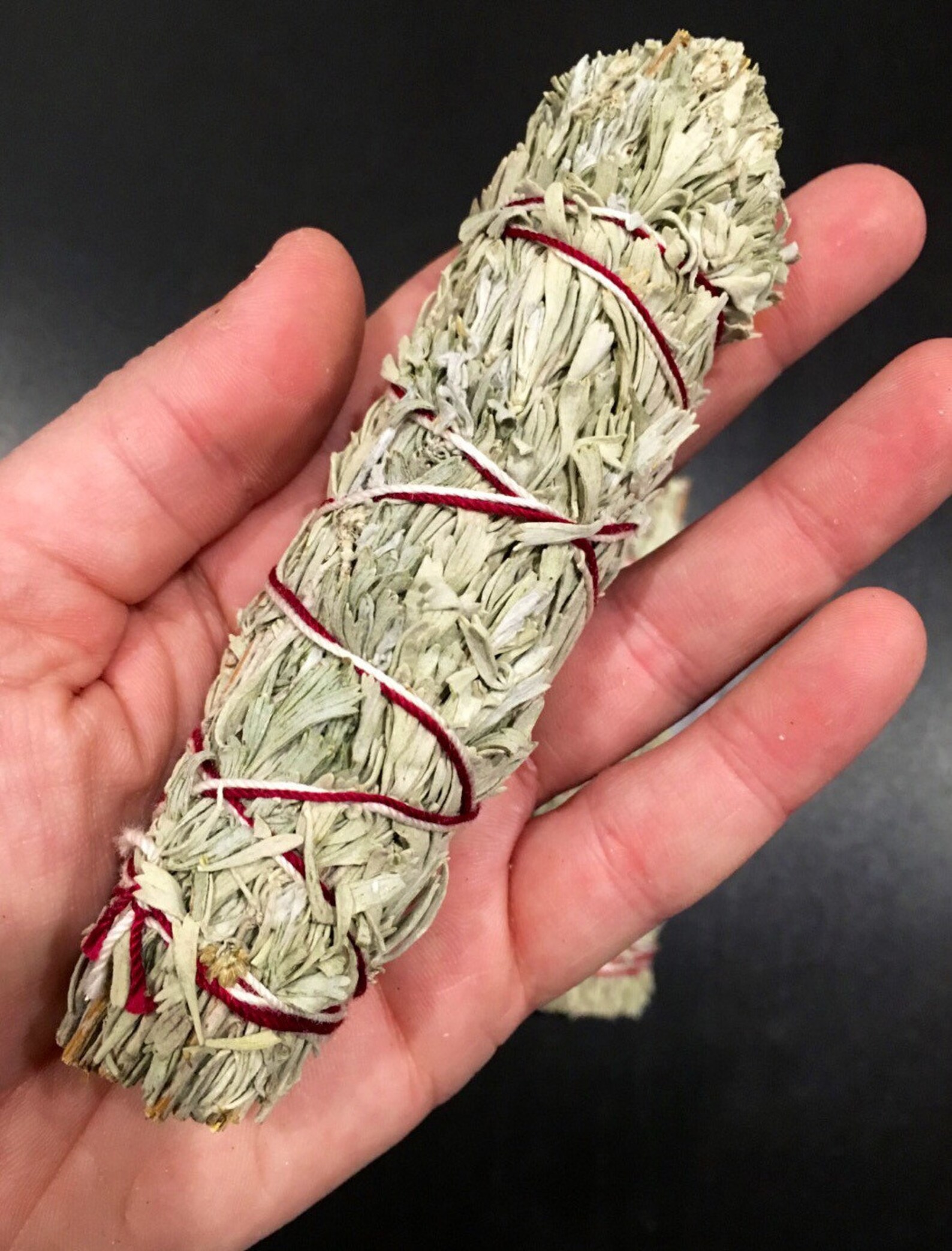 Blue Sage Smudge Stick dried sage bundle blue sage bundle Etsy