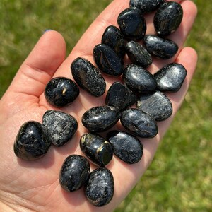 May include: A handful of polished black tourmaline stones. The stones are oval-shaped with a glossy finish, and some have subtle silver and gold inclusions. The background is a blurred green lawn.