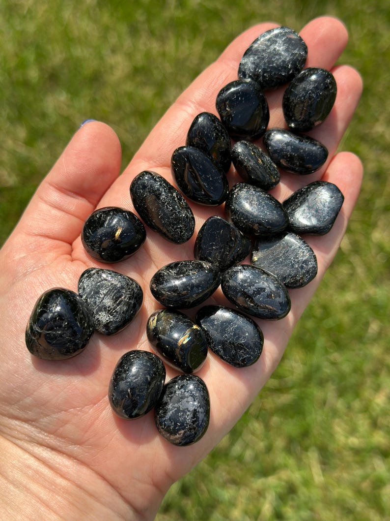 May include: A handful of polished black tourmaline stones. The stones are oval-shaped with a glossy finish, and some have subtle silver and gold inclusions. The background is a blurred green lawn.
